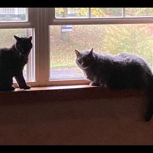 Meet your Posher, Anne